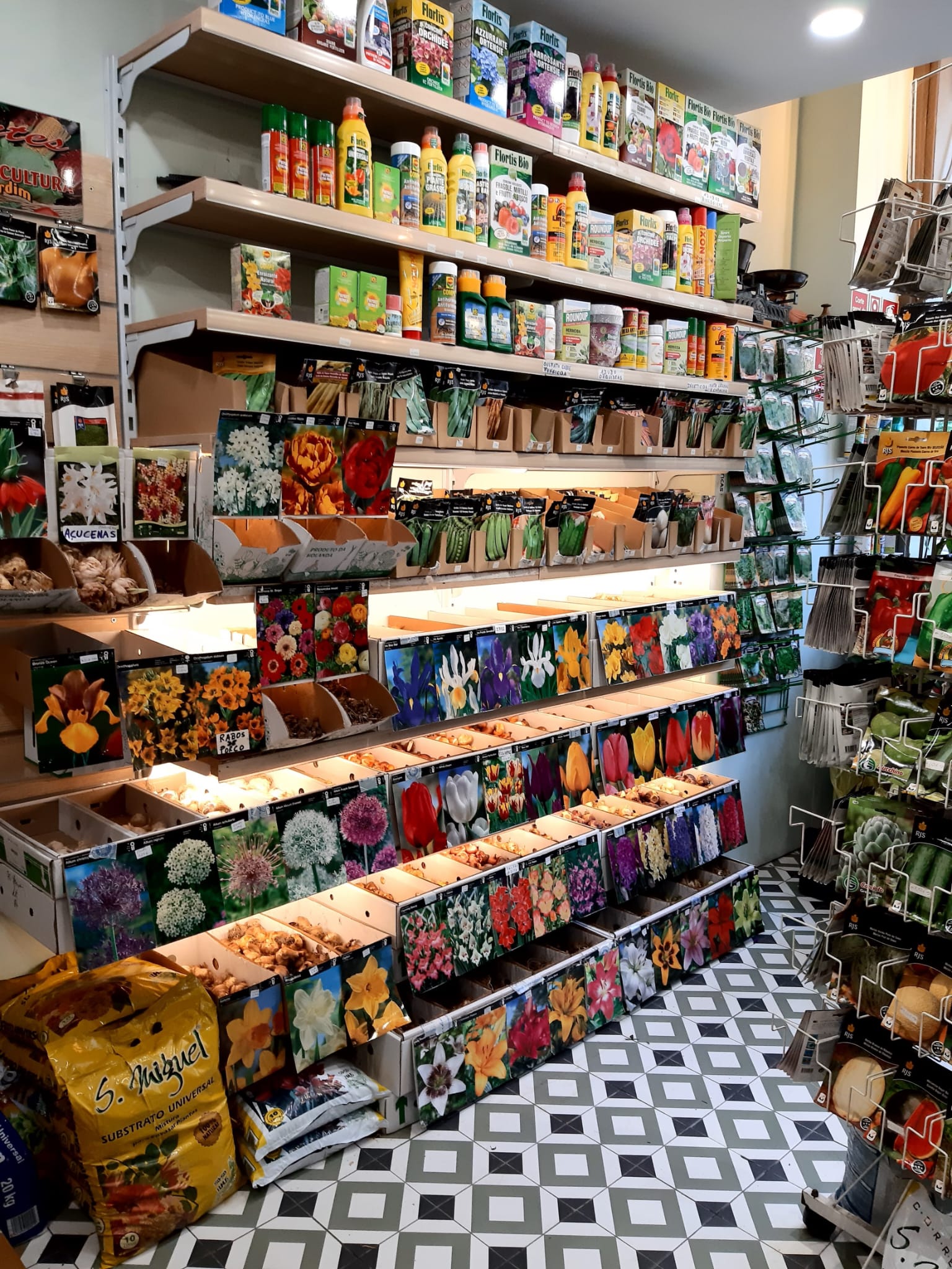 Sementes e Bolbos Florais – Seleção Completa